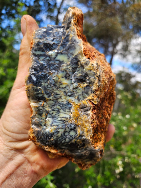 Dendritic Opal  rough.  DOR252