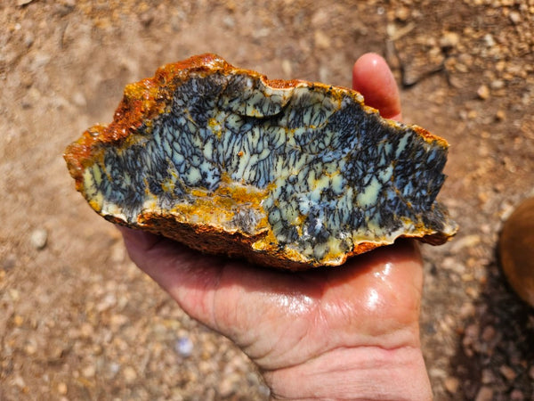 Dendritic Opal  rough.  DOR252