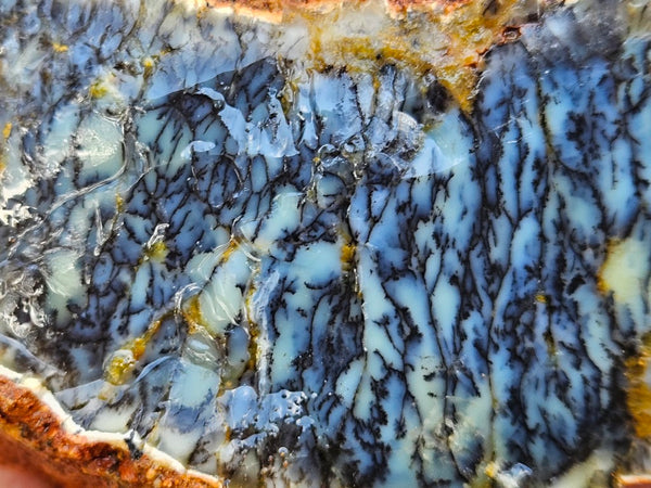 Dendritic Opal  rough.  DOR252