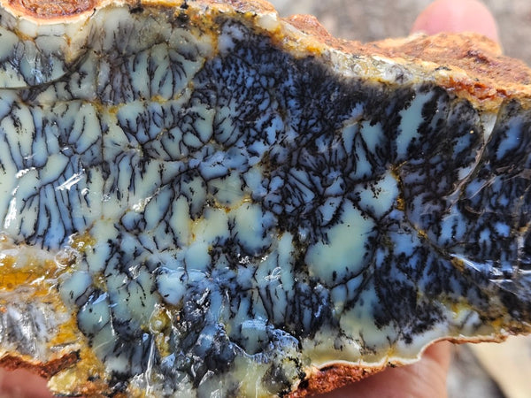 Dendritic Opal  rough.  DOR252