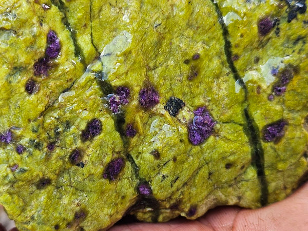 Rough Stichtite in Serpentine (Atlantisite) STR134