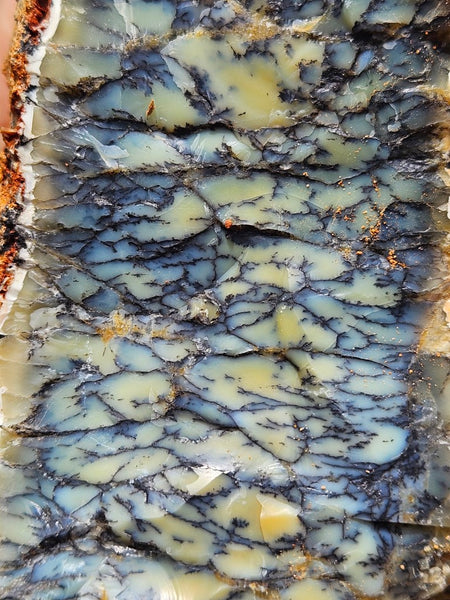 Dendritic Opal  rough.  DOR251