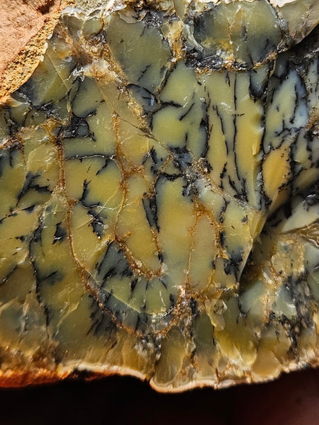 Dendritic Opal  rough.  DOR251