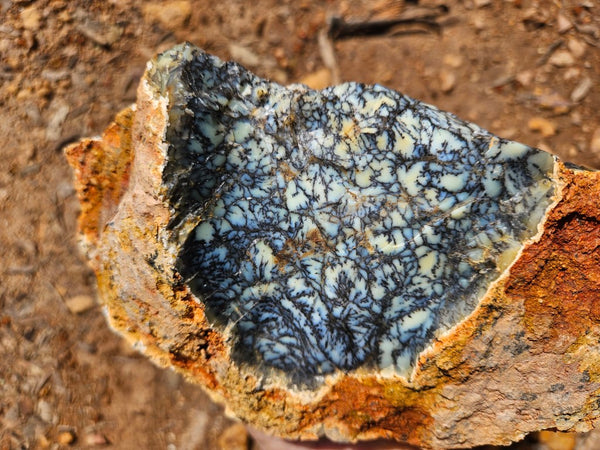 Dendritic Opal  rough.  DOR250