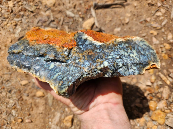 Dendritic Opal  rough.  DOR250