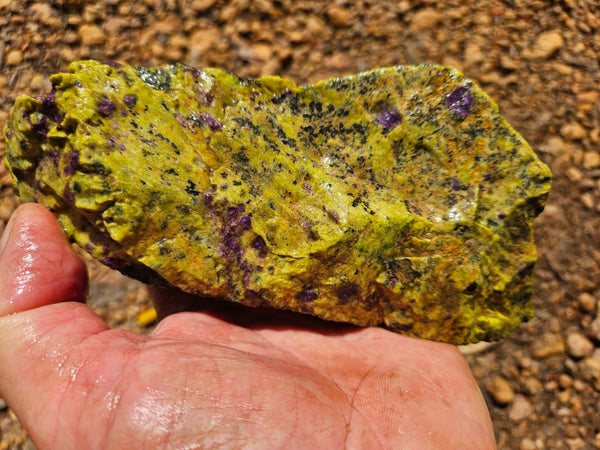 Rough Stichtite in Serpentine (Atlantisite) STR133