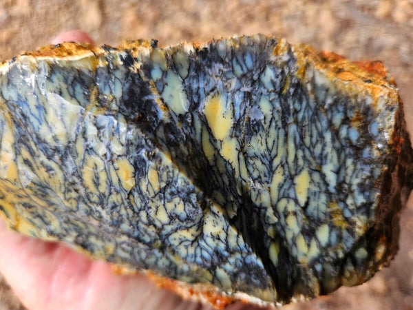 Dendritic Opal  rough.  DOR249