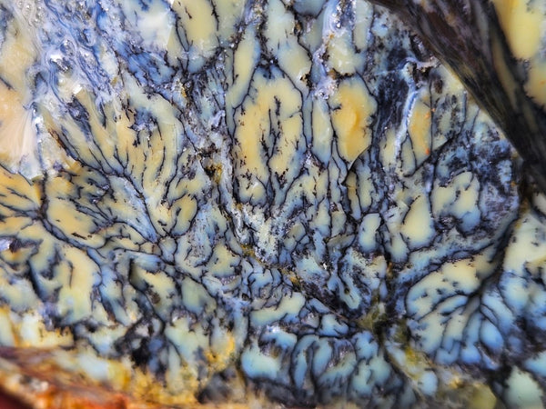 Dendritic Opal  rough.  DOR249