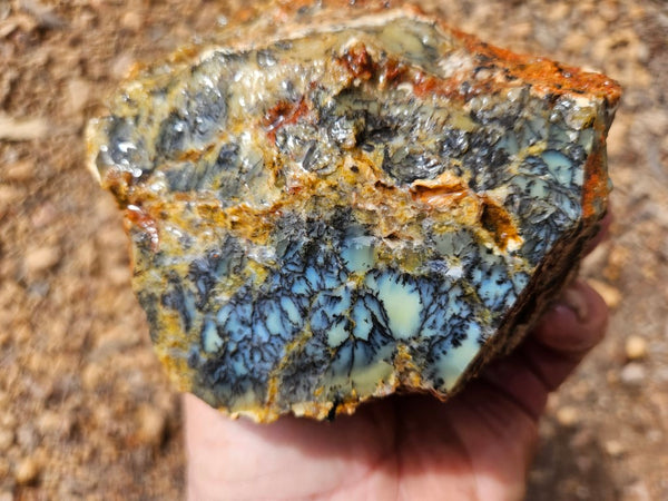 Dendritic Opal  rough.  DOR249