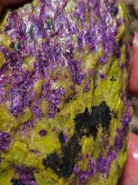 Rough Stichtite in Serpentine (Atlantisite) STR132