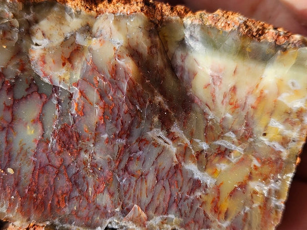 Dendritic Opal  rough.  DOR248