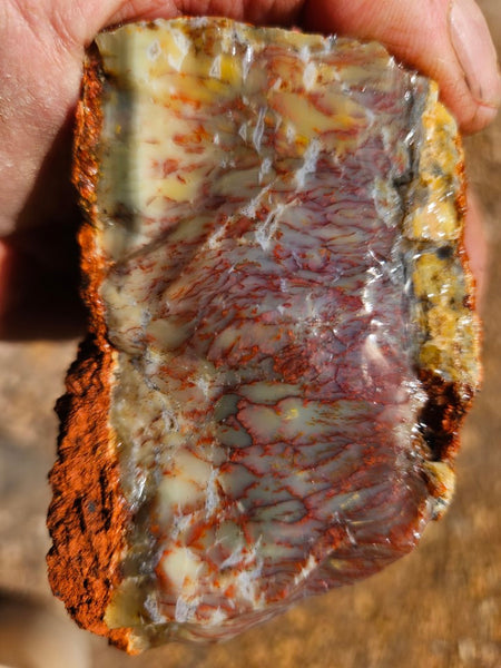 Dendritic Opal  rough.  DOR248