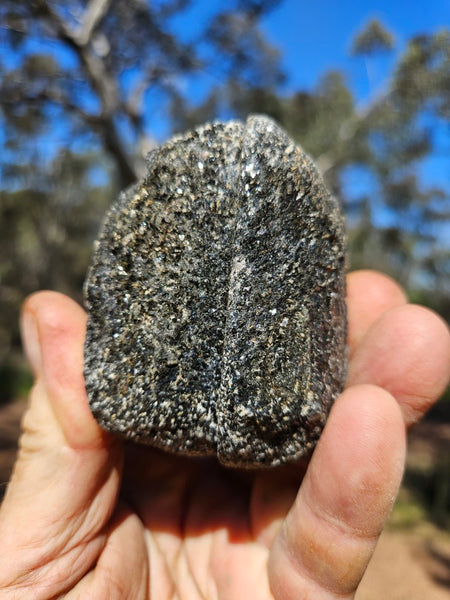 Pair of polished Orbicular Granite. OG203