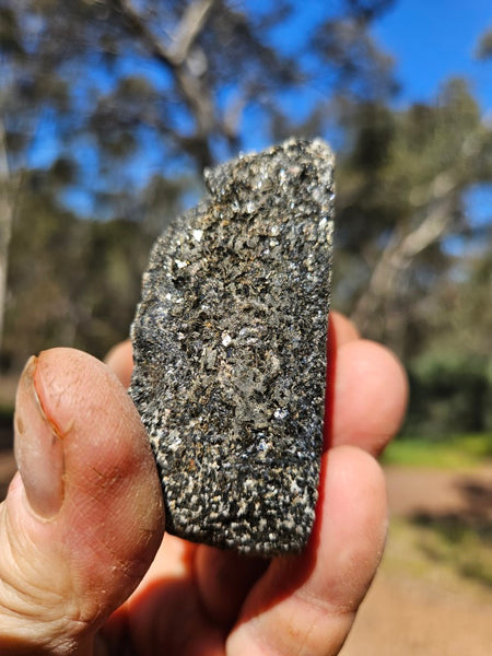 Pair of polished Orbicular Granite. OG203