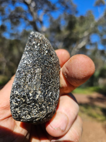 Pair of polished Orbicular Granite. OG203