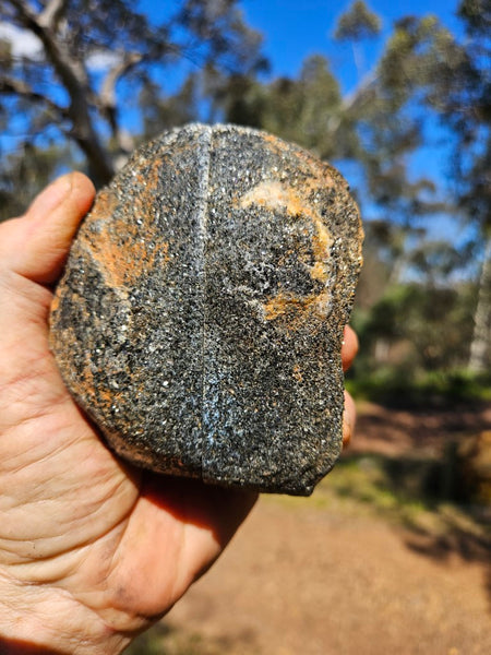 Pair of polished Orbicular Granite. OG202