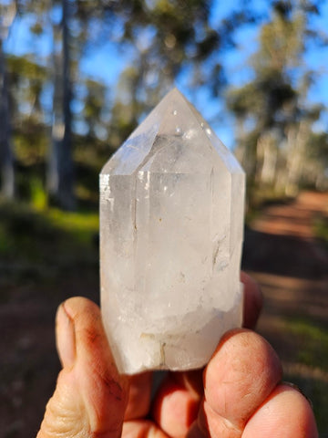 West Australian Quartz crystal . XL111