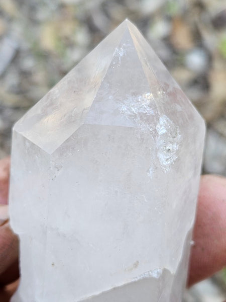 West Australian Quartz crystal . XL111