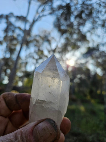 West Australian Quartz crystal . XL111