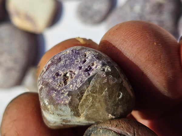 LPT101 Tumble Polished Lepidolite