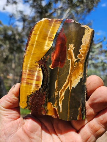 Polished Tiger Eye slab TE419