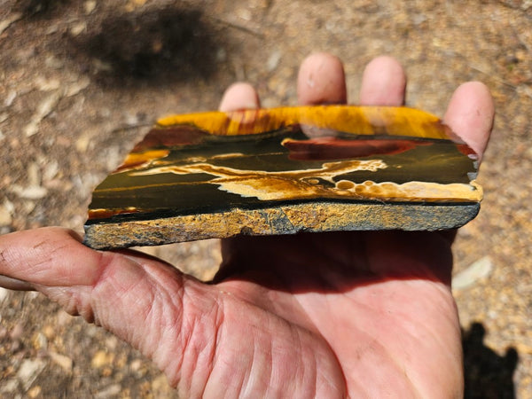 Polished Tiger Eye slab TE419