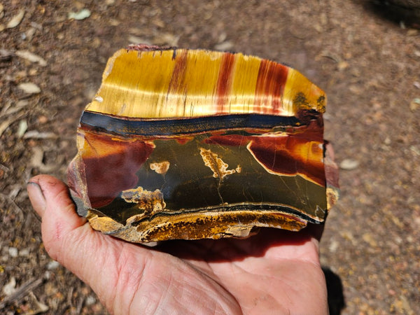 Polished Tiger Eye TE418