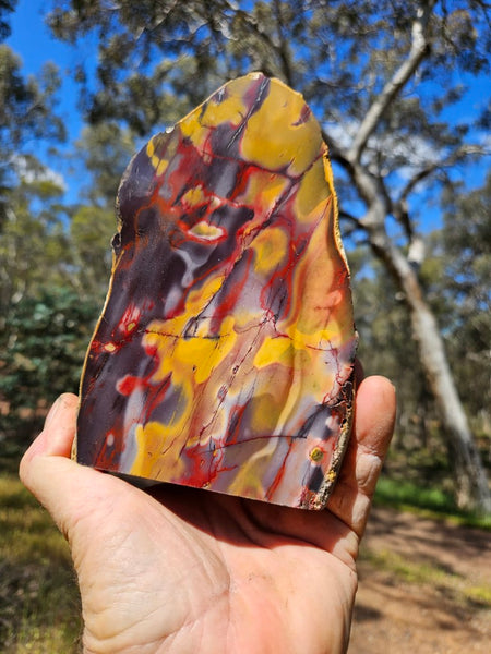 Polished Mookaite  MK518