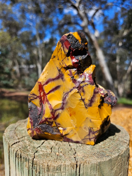 Polished Mookaite  MK517