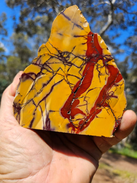 Polished Mookaite  MK517