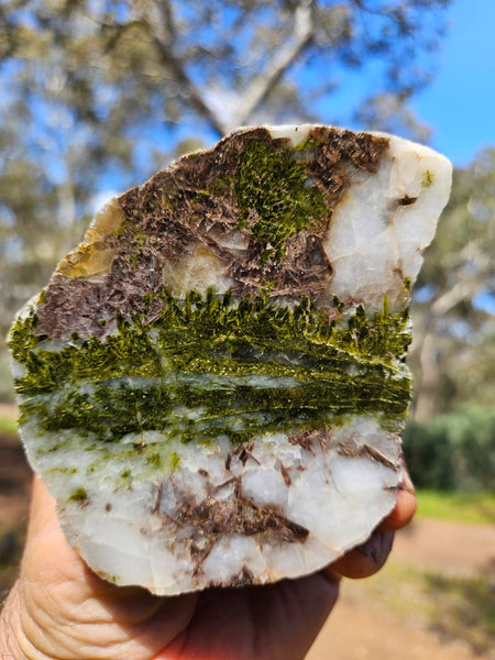 Epidote, Quartz & Axinite EPI77