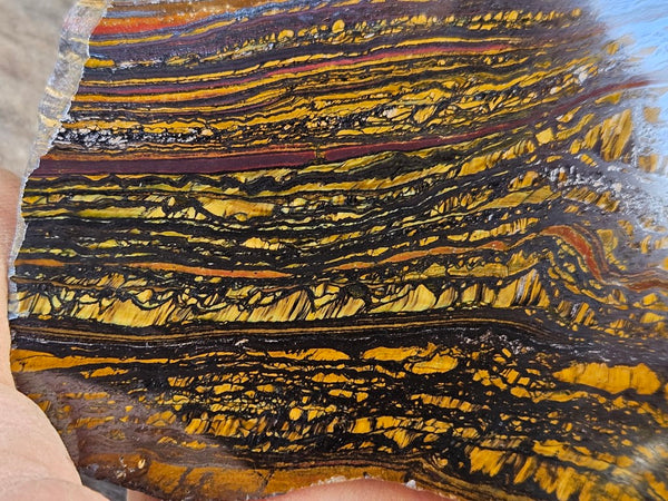 Polished Tiger Iron slab TI334