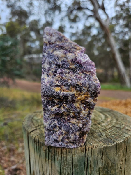 Polished Lepidolite  LEP227