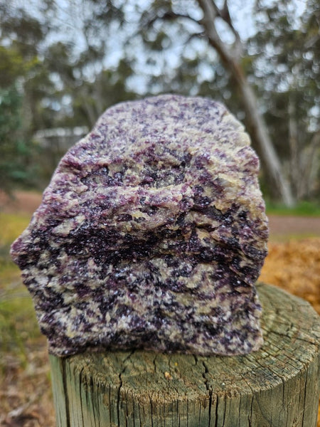 Polished Lepidolite  LEP227