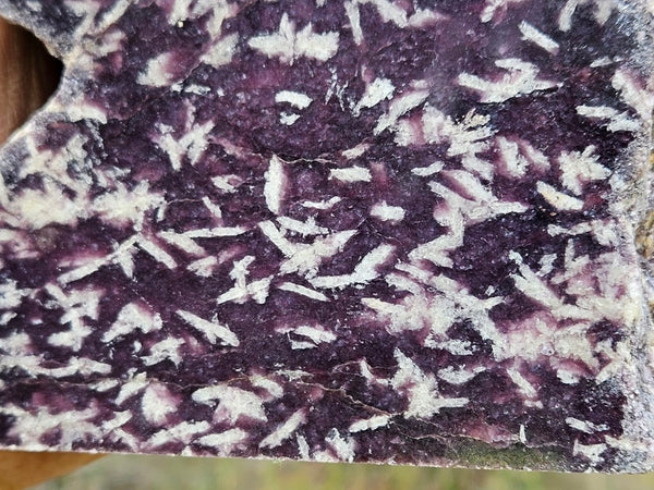 Polished Lepidolite  LEP227