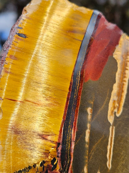 Polished Tiger Eye TE423