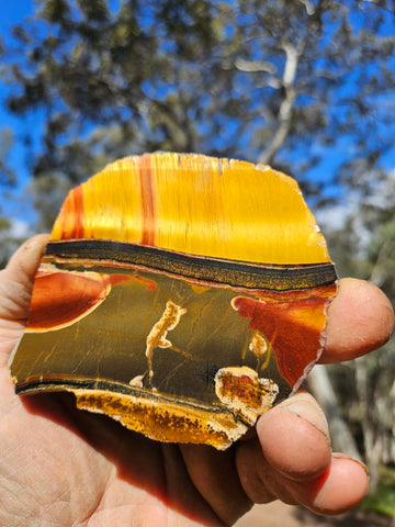 Polished Tiger Eye slab TE426