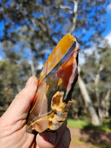 Polished Tiger Eye slab TE426