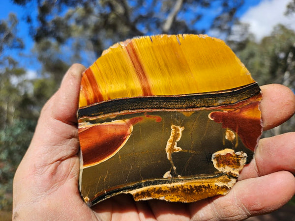 Polished Tiger Eye slab TE426