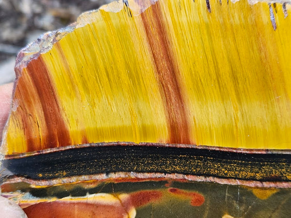 Polished Tiger Eye slab TE426