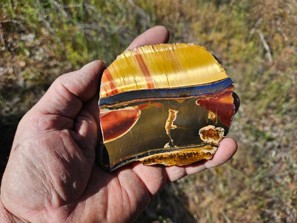 Polished Tiger Eye slab TE426