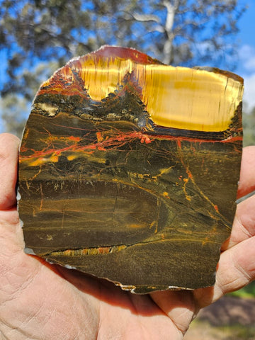 Polished Tiger Eye slab TE425