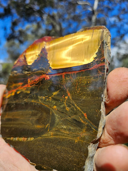 Polished Tiger Eye slab TE425