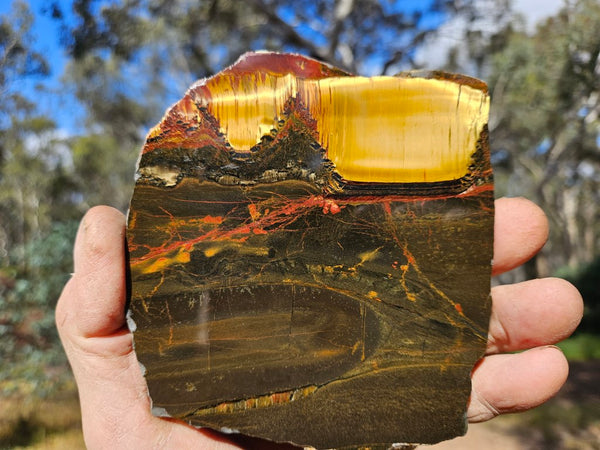 Polished Tiger Eye slab TE425