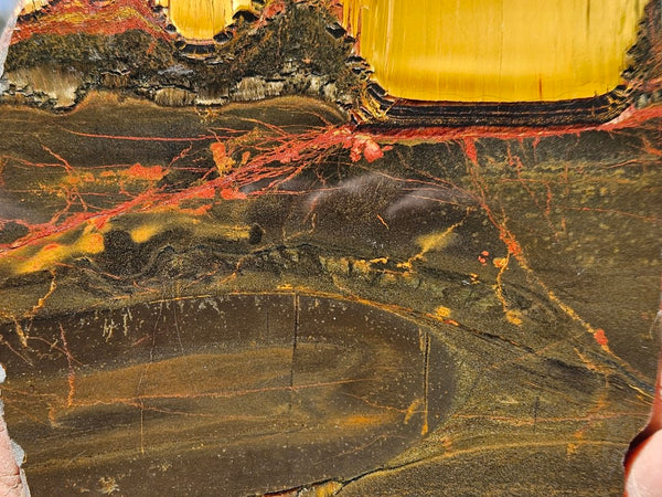 Polished Tiger Eye slab TE425