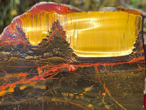 Polished Tiger Eye slab TE425