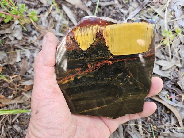 Polished Tiger Eye slab TE425