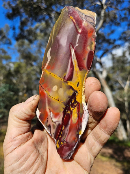 Polished Mookaite slab MK519