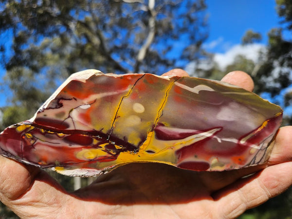 Polished Mookaite slab MK519