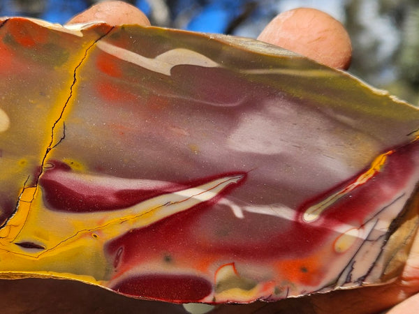 Polished Mookaite slab MK519